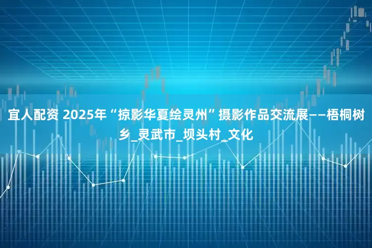 宜人配资 2025年“掠影华夏绘灵州”摄影作品交流展——梧桐树乡_灵武市_坝头村_文化