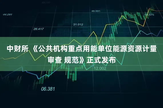 中财所 《公共机构重点用能单位能源资源计量审查 规范》正式发布