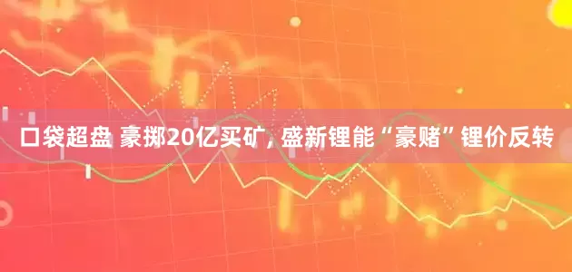 口袋超盘 豪掷20亿买矿, 盛新锂能“豪赌”锂价反转