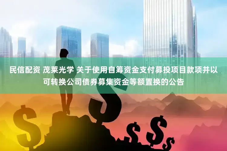 民信配资 茂莱光学 关于使用自筹资金支付募投项目款项并以可转换公司债券募集资金等额置换的公告