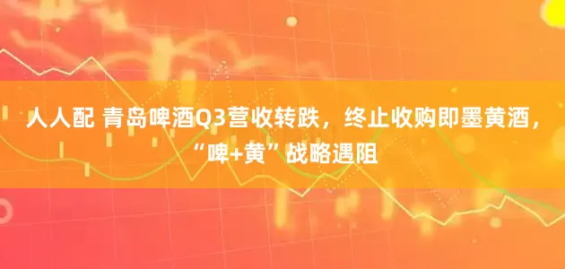 人人配 青岛啤酒Q3营收转跌，终止收购即墨黄酒，“啤+黄”战略遇阻