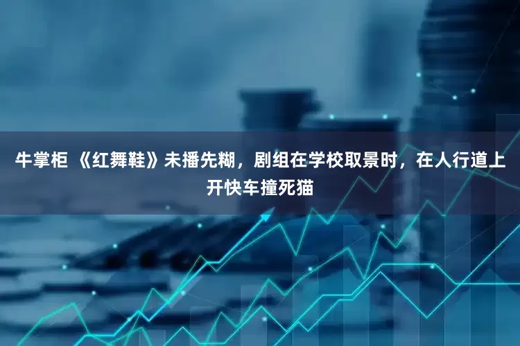 牛掌柜 《红舞鞋》未播先糊，剧组在学校取景时，在人行道上开快车撞死猫